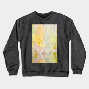 Dreams of Autumn Crewneck Sweatshirt